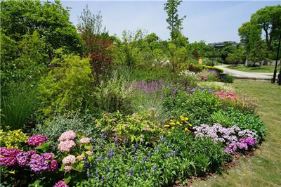 工業園園林綠化工程常用喬木推薦