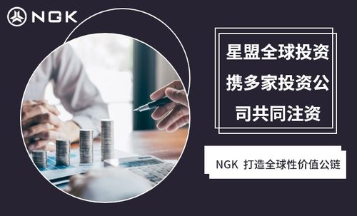 NGK公鏈技術 重塑房地產生態，賦能經濟信息咨詢