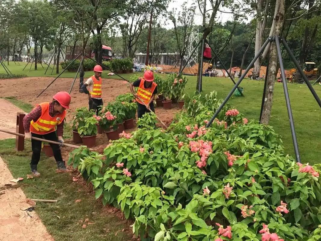 園林綠化工程 超越種植的藝術(shù)與科學(xué)